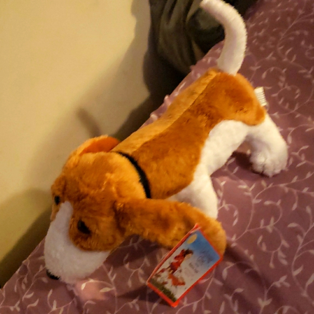 Stuffed dog